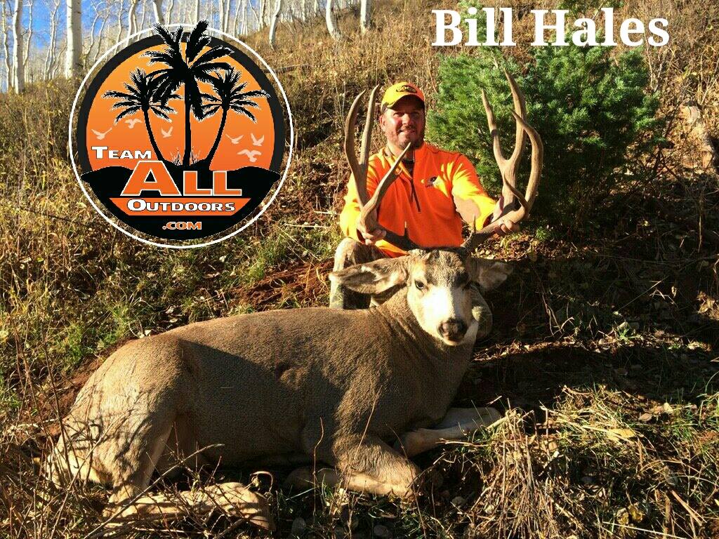 bill-hales-12 bill-hales-12