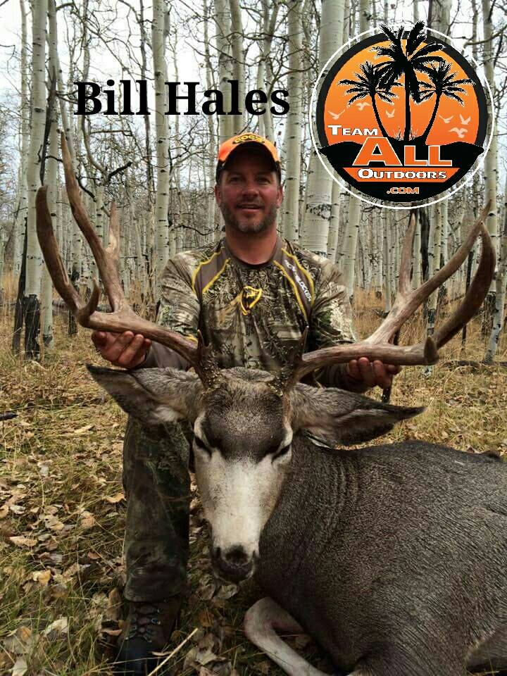 bill-hales-16 bill-hales-16